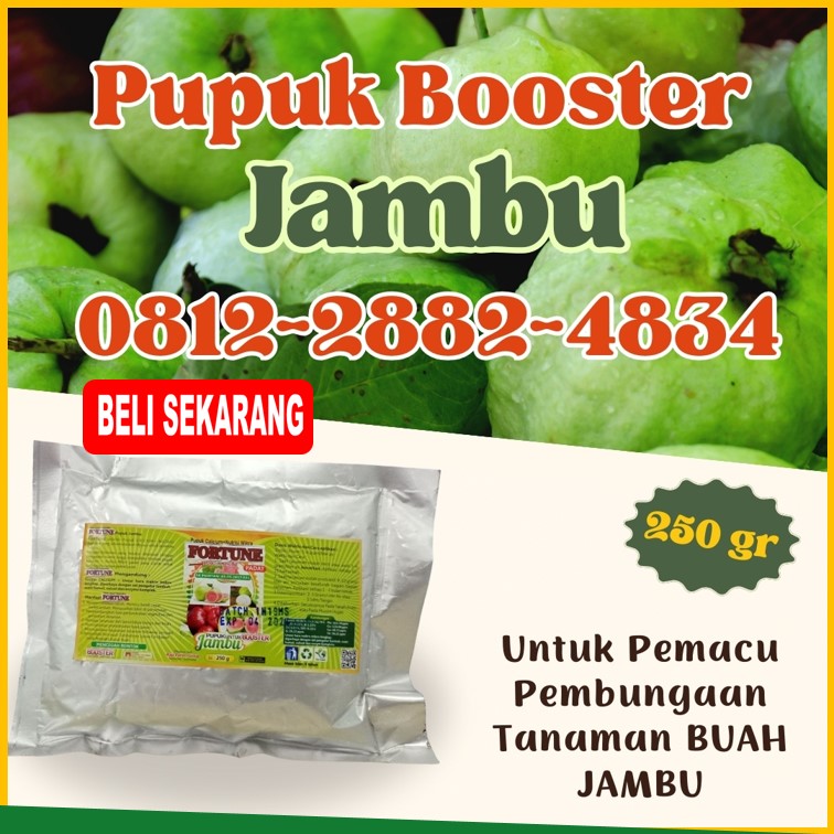 AGEN Pupuk Buah Jambu Pelalawan