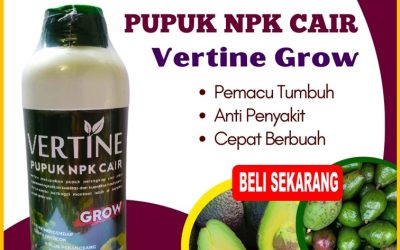 CALL 0812-2882-4834, AGEN Pupuk NPK Untuk Alpukat Pesawaran
