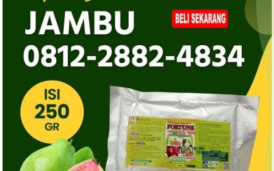 ORGANIK CALL 0812-2882-4834, AGEN Pupuk Tanaman Jambu Kepulauan Meranti