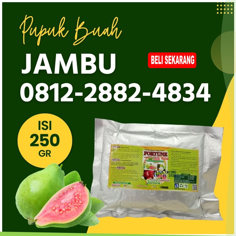 AGEN Pupuk Tanaman Jambu Kepulauan Meranti