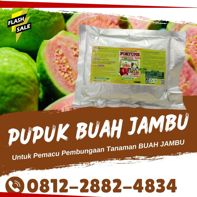 DISTRIBUTOR Pupuk Jambu Kuantan Singingi