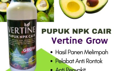 CALL 0812-2882-4834, DISTRIBUTOR Pupuk Tanaman Alpukat Mesuji