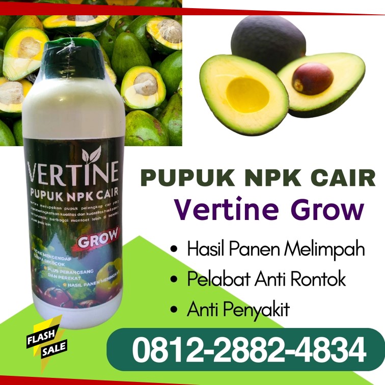 DISTRIBUTOR Pupuk Tanaman Alpukat Mesuji