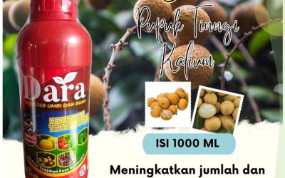 =CALL 0812-2882-4834, DISTRIBUTOR Pupuk Untuk Kelengkeng Gresik