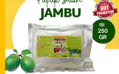 CUMA BULAN INI! CALL 0812-2882-4834, GROSIR Booster Jambu Indragiri Hulu
