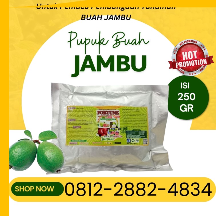 GROSIR Booster Jambu Indragiri Hulu