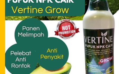 ALAMI! CALL 0812-2882-4834, HARGA Pupuk Buah Alpukat Lampung Timur