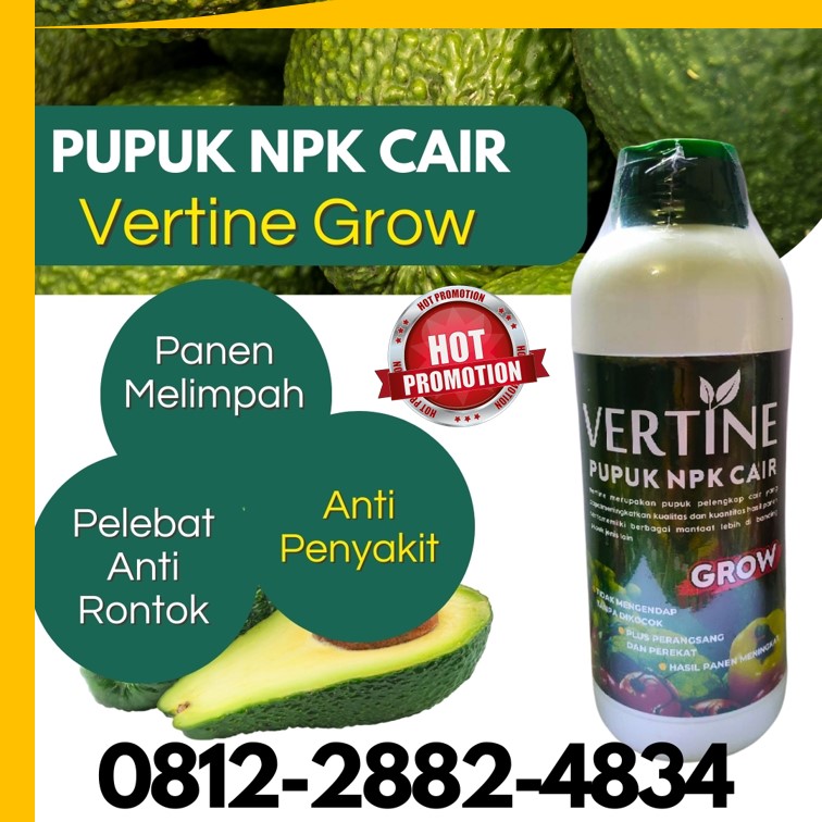 HARGA Pupuk Buah Alpukat Lampung Timur