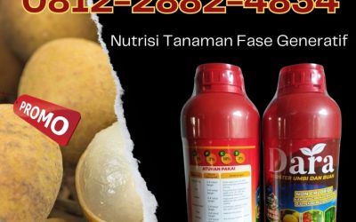 CALL 0812-2882-4834, JUAL Pupuk Kelengkeng Banyuwangi