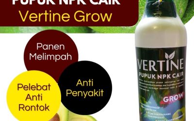 CALL 0812-2882-4834, PUSAT Pupuk Buah Alpukat Tanggamus