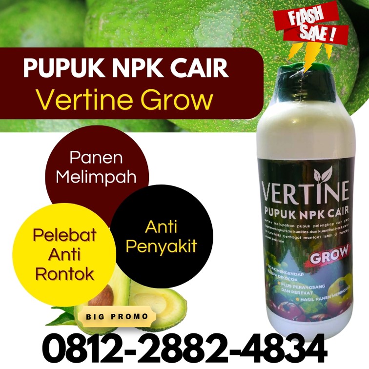 PUSAT Pupuk Buah Alpukat Tanggamus