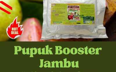 GARA GARA INI CALL 0812-2882-4834, PUSAT Pupuk Jambu Bengkalis