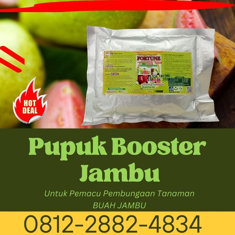 PUSAT Pupuk Jambu Bengkalis