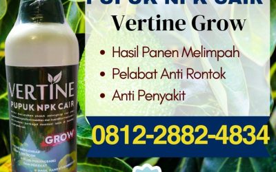 CALL 0812-2882-4834, PUSAT Pupuk NPK Untuk Alpukat Lampung Barat