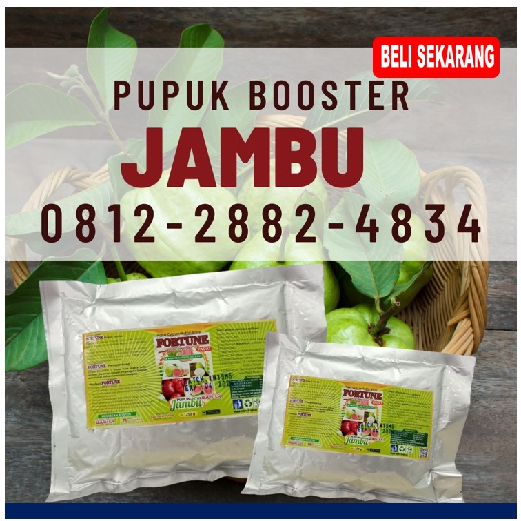 PUSAT Pupuk Tanaman Jambu SIAK