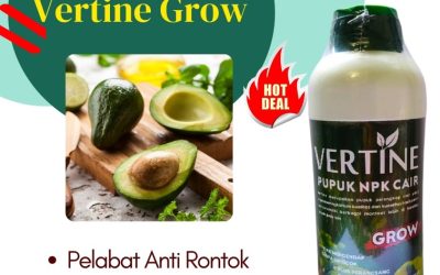CALL 0812-2882-4834, JUAL Pupuk Alpukat Terbaik Lampung Selatan