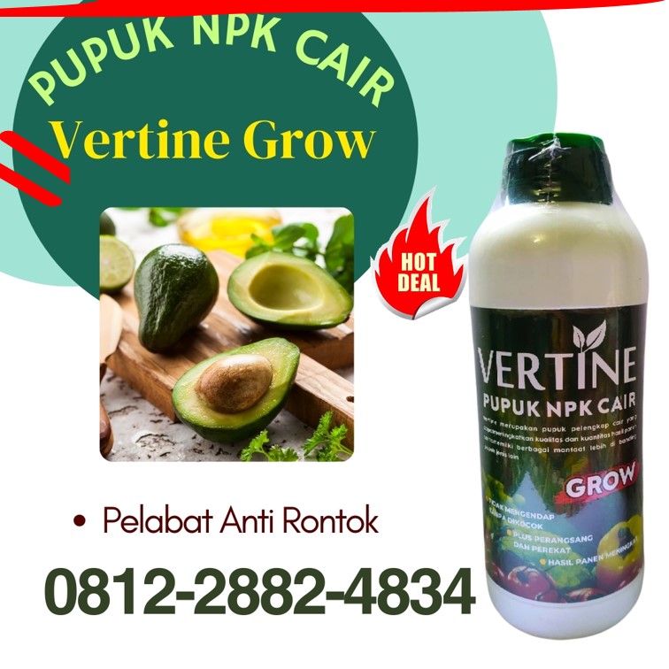 Pupuk Alpukat Terbaik Lampung Selatan