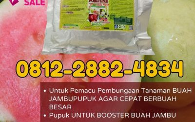 CUMA BULAN INI! CALL 0812-2882-4834, SUPPLIER Pupuk Jambu Organik Rokan Hulu