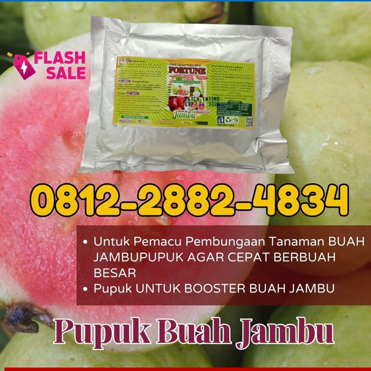 SUPPLIER Pupuk Jambu Organik Rokan Hulu