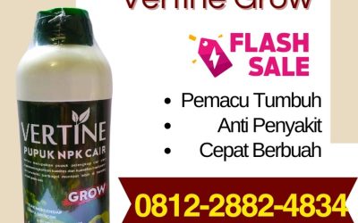 CALL 0812-2882-4834, SUPPLIER Pupuk Alpukat Pringsewu