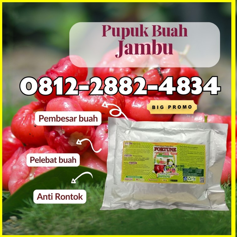 TOKO Booster Jambu Rokan Hilir