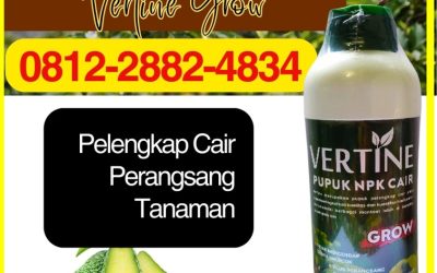 CALL 0812-2882-4834, TOKO Pupuk Alpukat Terbaik Pesisir Barat