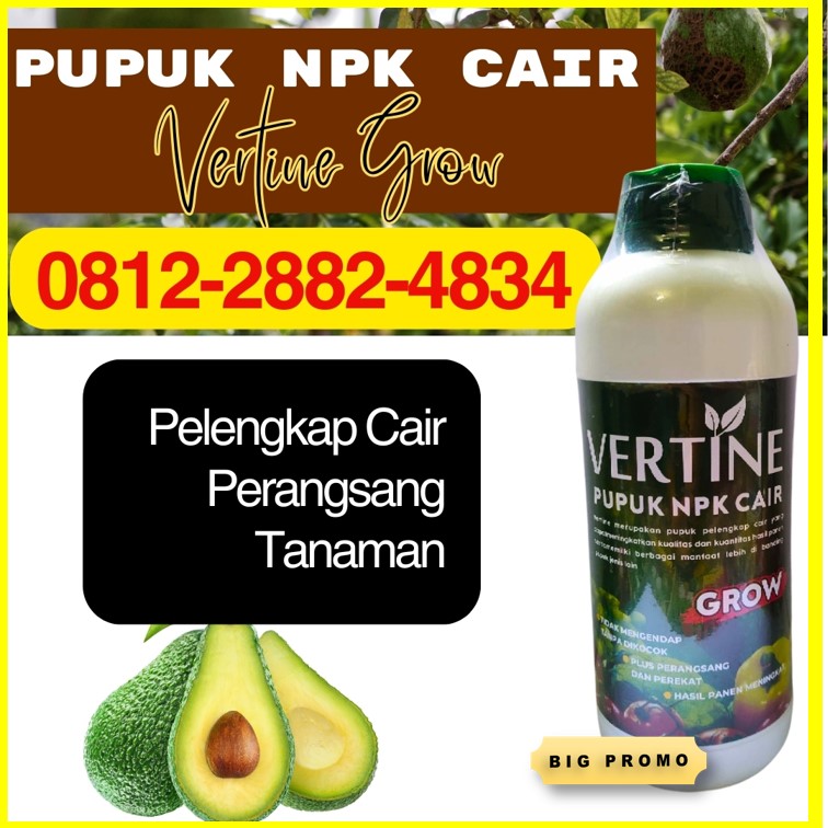 TOKO Pupuk Alpukat Terbaik Pesisir Barat