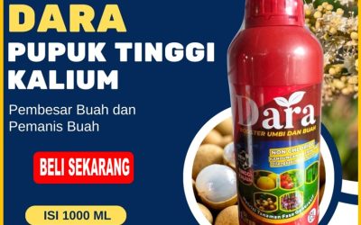 CALL 0812-2882-4834, TOKO Pupuk Kelengkeng Jombang
