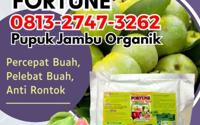 GA MAIN MAIN CALL 0813-2747-3262, GROSIR Pupuk Tanaman Jambu Kuala Indragiri, Pupuk Jambu Mandah, Pupuk Buah Jambu Pelangiran
