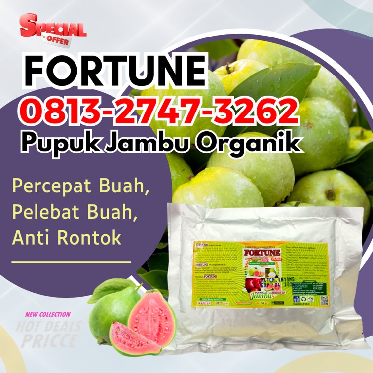 GROSIR Pupuk Buat Jambu Air Kuala Indragiri, HARGA Pupuk Buah Jambu Madu Mandah, Pupuk Untuk Buah Jambu Kristal Pelangiran