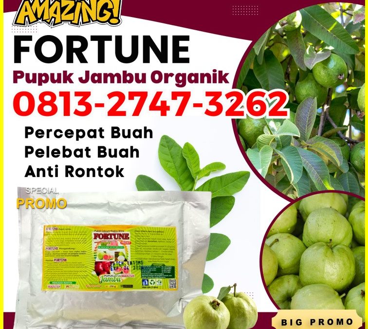 AGEN Pupuk Untuk Buah Jambu Air Enok, DISTRIBUTOR Pupuk Untuk Pohon Jambu Air Gaung, Pupuk Jambu Bol Jamaika Gaung Anak Serka