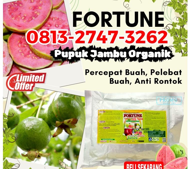 GA MAIN MAIN CALL 0813-2747-3262, DISTRIBUTOR Pupuk Jambu Organik Gaung, Pupuk Tanaman Jambu Gaung Anak Serka, Pupuk Jambu Kateman