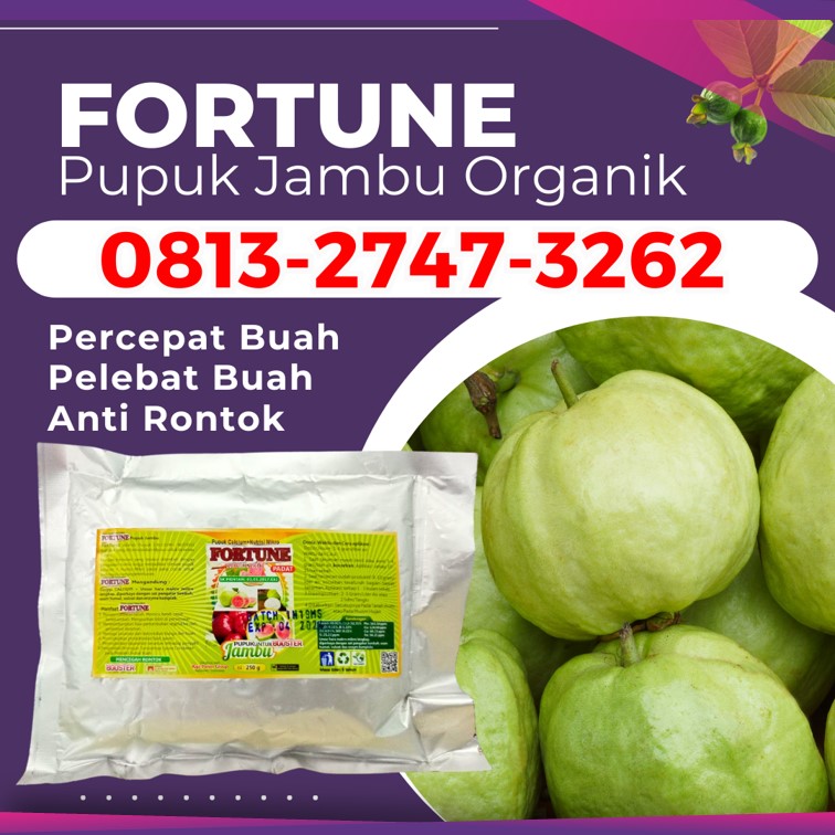 AGEN Pupuk Jambu Bol Jamaika Gaung Anak Serka, TOKO Pupuk Perangsang Buah Jambu Kateman, Pupuk Buah Jambu Air Kempas