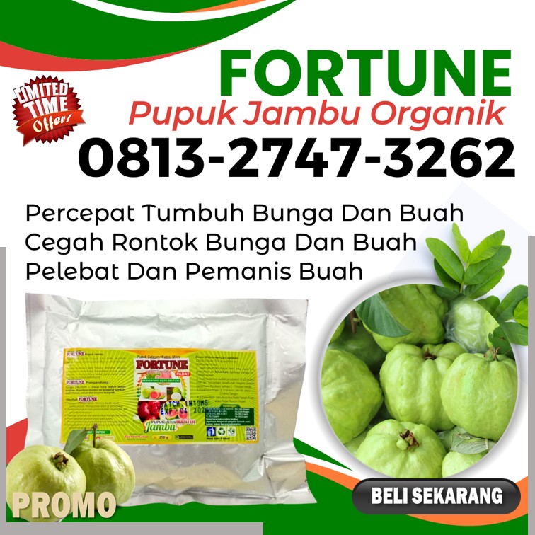 PUSAT Pupuk Buah Jambu Kristal Kemuning, JUAL Pupuk Buah Jambu Keritang, Pupuk Buat Jambu Air Kuala Indragiri