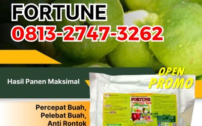 ORGANIK CALL 0813-2747-3262, JUAL Pupuk Jambu Organik Keritang, Pupuk Tanaman Jambu Kuala Indragiri, Pupuk Jambu Mandah