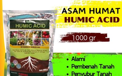 CUMA BULAN INI CALL 0813-2747-3262, DISTRIBUTOR Asam Humat Terbaik Modung, Asam Humat Sepulu, Humic Acid Socah