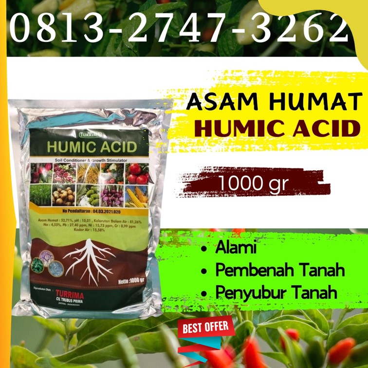 DISTRIBUTOR Asam Humat Untuk Tanah Modung, AGEN Asam Humat Untuk Anggur Sepulu, Asam Humat Alami Socah
