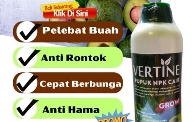 CUMA BULAN INI CALL 0813-2747-3262, GROSIR Pupuk Alpukat Belalau, Pupuk Buah Alpukat Gedung Surian, Pupuk Booster Alpukat Kebun Tebu