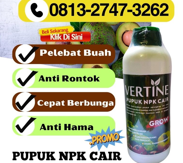 CUMA BULAN INI CALL 0813-2747-3262, GROSIR Pupuk Alpukat Belalau, Pupuk Buah Alpukat Gedung Surian, Pupuk Booster Alpukat Kebun Tebu