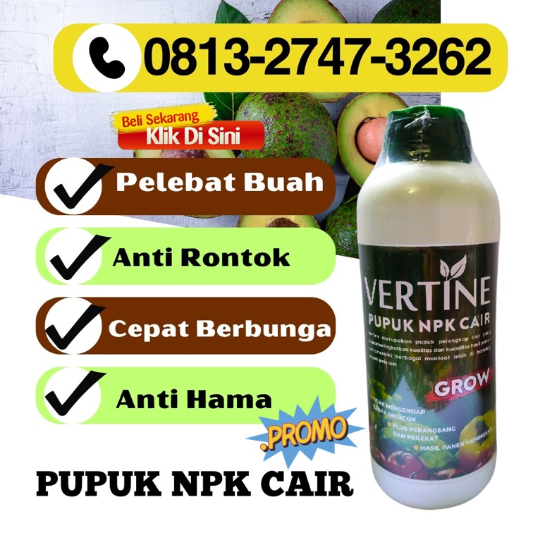 GROSIR Pupuk Alpukat Masa Vegetatif Belalau, HARGA Pupuk Alpukat Musim Hujan Gedung Surian, Pupuk Untuk Membuahkan Alpukat Kebun Tebu