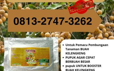 PROMO! 0813-2747-3262 Suplier Pupuk Kelengkeng Brebes, Pusat Pupuk Kelengkeng Cepat Berbuah Cilacap, Distributor Pupuk Kelengkeng Agar Buah Tidak Rontok Demak