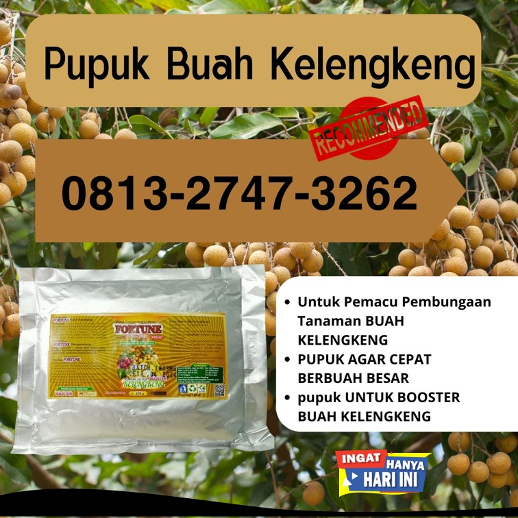  Suplier Pupuk Kelengkeng Brebes, Pusat Pupuk Kelengkeng Cepat Berbuah Cilacap, Distributor Pupuk Kelengkeng Agar Buah Tidak Rontok Demak