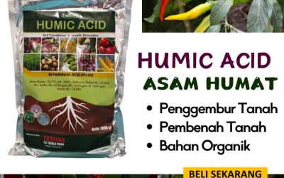 GA MAIN MAIN CALL 0813-2747-3262, DISTRIBUTOR Asam Humat Terbaik Gambiran, Asam Humat Genteng, Humic Acid Giri