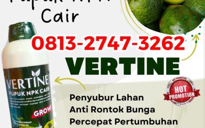 GA MAIN MAIN CALL 0813-2747-3262, GROSIR Pupuk Tanaman Alpukat Way Tenong, Pupuk NPK Untuk Alpukat Bakauheni, Pupuk Alpukat Terbaik Candipuro