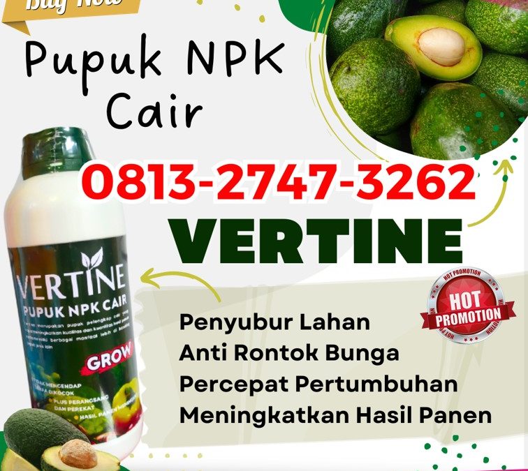 GROSIR Pupuk Penyubur Alpukat Way Tenong, HARGA Pupuk Untuk Pohon Alpukat Bakauheni, Pupuk Untuk Pembuahan Alpukat Candipuro