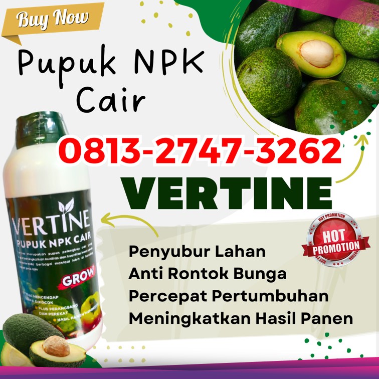 GROSIR Pupuk Penyubur Alpukat Way Tenong, HARGA Pupuk Untuk Pohon Alpukat Bakauheni, Pupuk Untuk Pembuahan Alpukat Candipuro