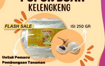 ASLI! 0813-2747-3262 Supplier Pupuk Dasar Kelengkeng Klaten, Suplier Pupuk Kelengkeng Brebes, Pusat Pupuk Kelengkeng Cepat Berbuah Cilacap