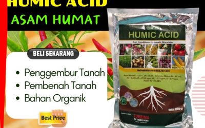 ALAMI CALL 0813-2747-3262, AGEN Asam Humat Sepulu, Humic Acid Socah, Asam Humat Terbaik Tanah Merah