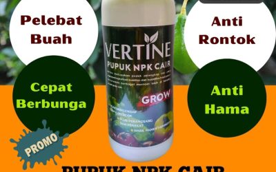 ALAMI CALL 0813-2747-3262, HARGA Pupuk Buah Alpukat Gedung Surian, Pupuk Booster Alpukat Kebun Tebu, Pupuk Tanaman Alpukat Lumbok Seminung