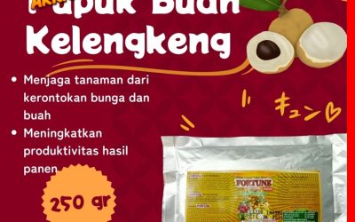 DISKON! 0813-2747-3262 Pusat Pupuk Kelengkeng Cepat Berbuah Cilacap, Distributor Pupuk Kelengkeng Agar Buah Tidak Rontok Demak, Produsen Pupuk Kelengkeng Agar Cepat Besar Purwodadi